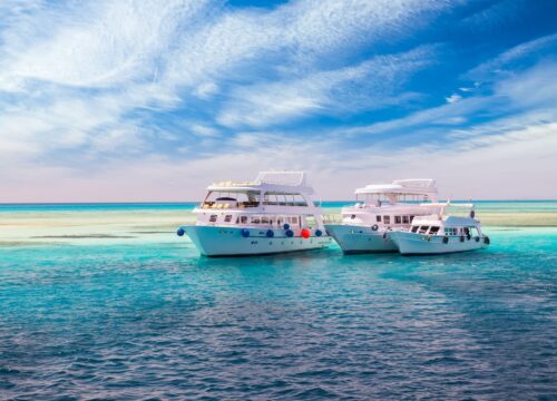 Private Bootstour zum Schnorcheln mit Delphin