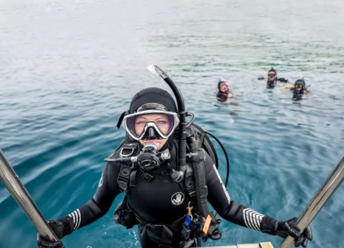 Geführte Bootstour zum Tauchen und Schnorcheln mit Mittagessen und Getränken aus Hurghada