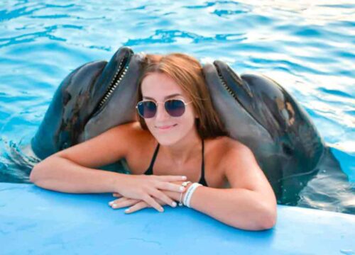 Show im Dolphin World mit zusätzlicher Fotosession zum Schwimmen aus Hurghada